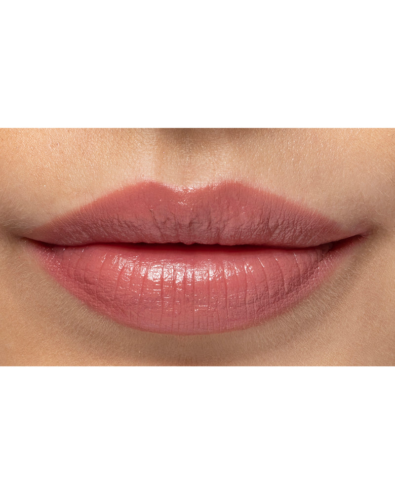 Lip Colour Flutter